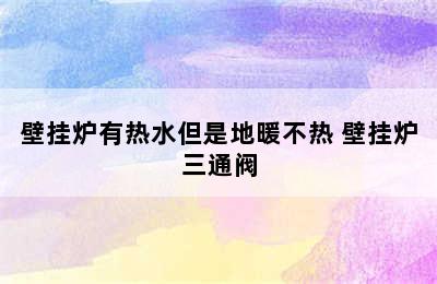 壁挂炉有热水但是地暖不热 壁挂炉三通阀